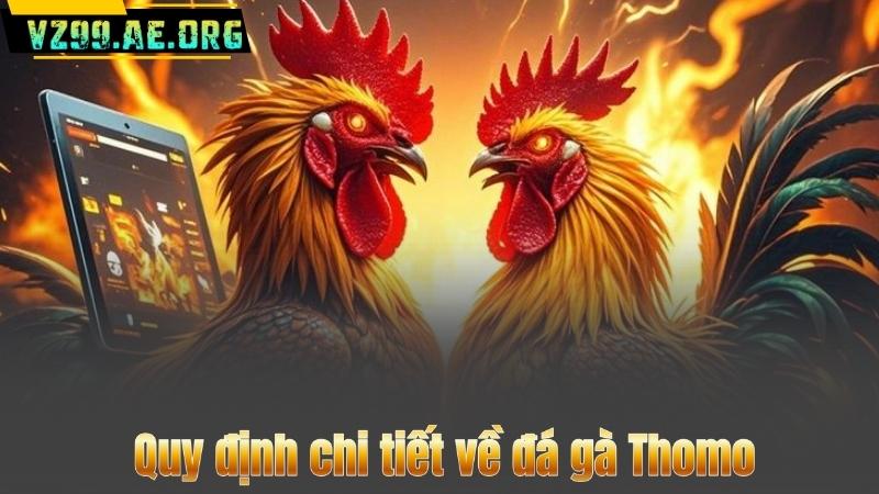 Quy định chi tiết về đá gà Thomo