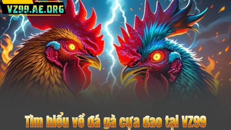 Đá Gà Cựa Đao – Bí Kíp Đặt Cược Thông Minh Từ A-Z 6 Tìm hiểu về đá gà cựa đao tại VZ99